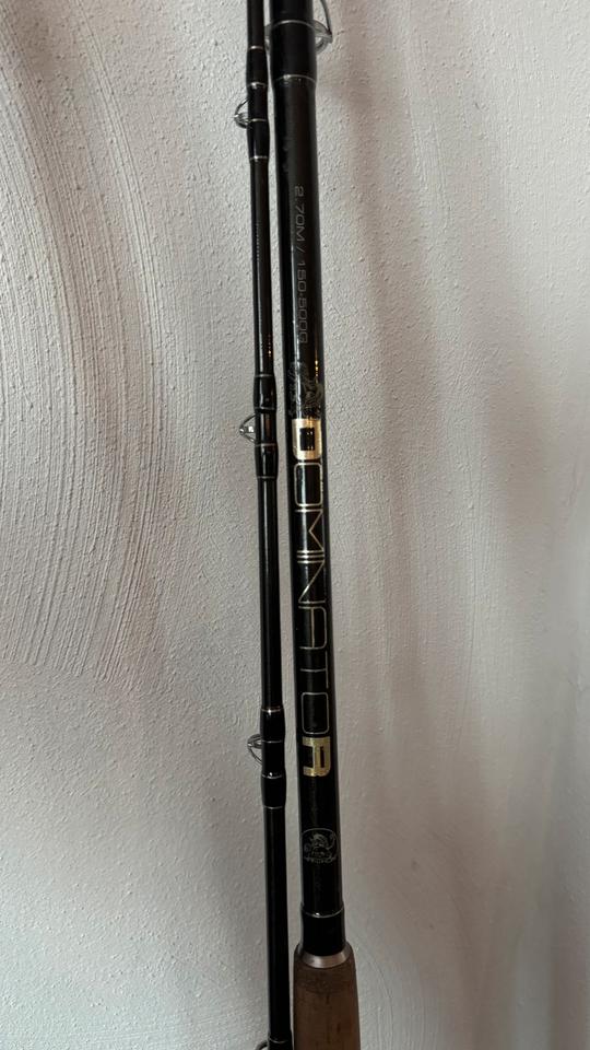 Mantikor Dominator 2,70 150-500G Wallerrute Welsrute (No Zeck) in Saarbrücken
