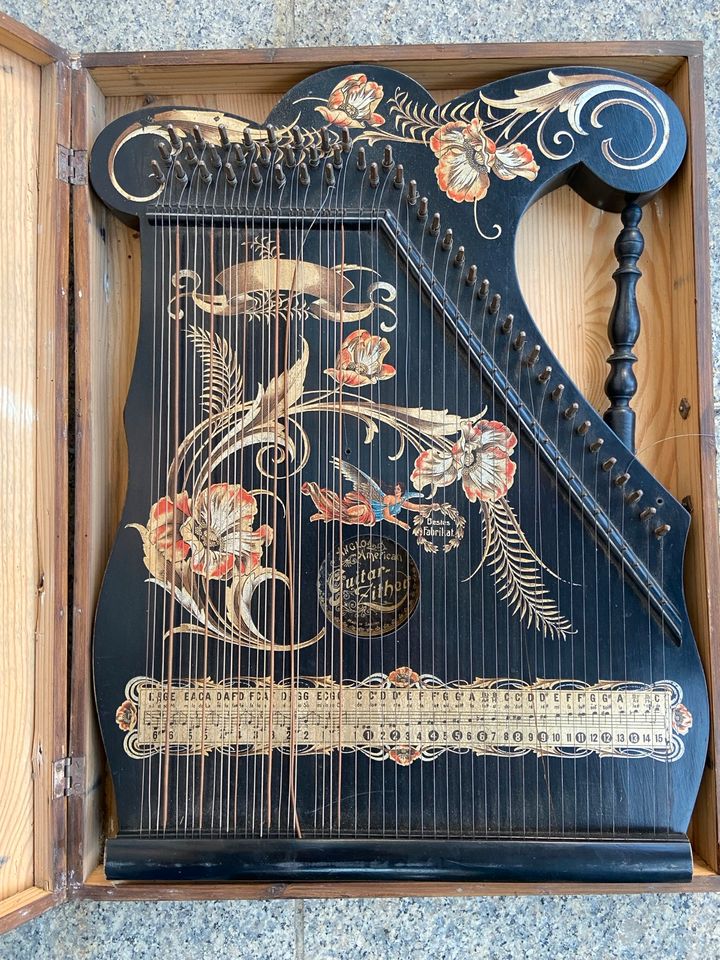 Anglo American Guitar Zither in Vaihingen an der Enz