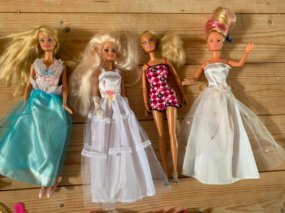 Barbie Puppen mit Zubehör in Neuenhaus