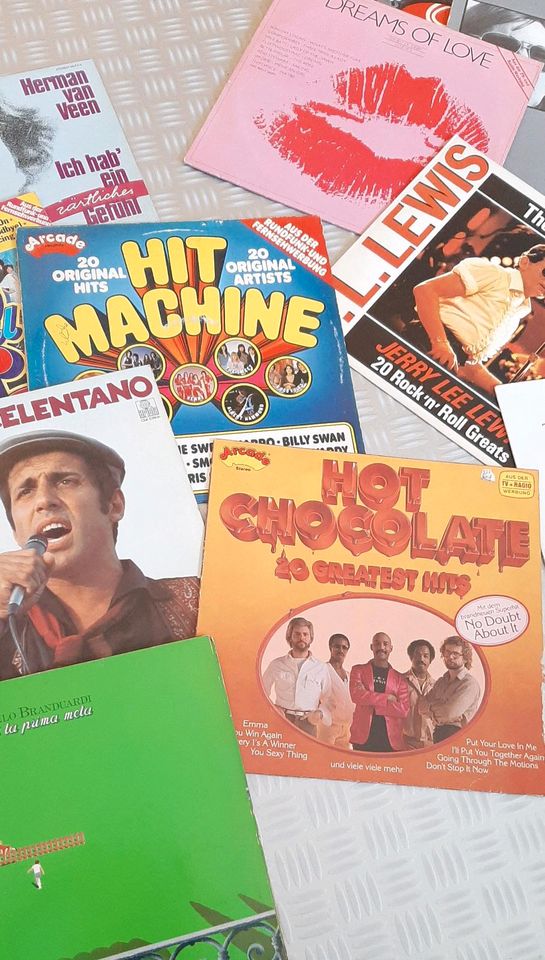 Schallplatten Vinyls LP Paket, verschiedene Genres in Mayen