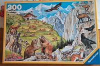 Ravensburger Puzzle 300 Teile Brandenburg - Neustadt (Dosse) Vorschau