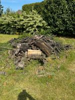 Brennholz alter Pflaumenbaum Nordrhein-Westfalen - Düren Vorschau