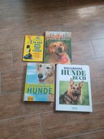 Hund Erziehung Praxishandbuch Hundeerziehung Tier Sachsen - St. Egidien Vorschau