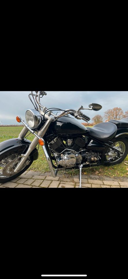 Yamaha xvs 1100 Dragstar Classic*Anlasserfreilauf defekt* in Paderborn