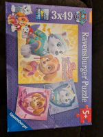 Puzzle Paw Patrol Baden-Württemberg - Bühl Vorschau