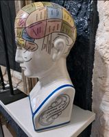 Phrenology Kopf XXL groß Hessen - Hohenahr Vorschau