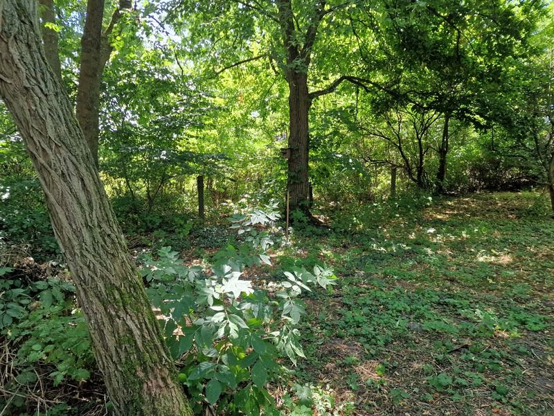 Schönes Freizeitgrundstück nur 50 m zur Badestelle in Friedland