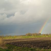 Sehr schöne Fotos / Blick in die Wolken ... möchte ich anbieten > Kreis Pinneberg - Haseldorf Vorschau