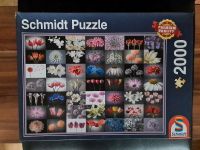 Puzzle 2000 Teile Aachen - Aachen-Mitte Vorschau