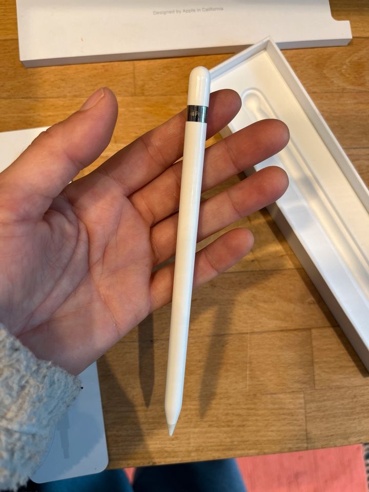 Apple Pen 2017 / 1st Generation in Berlin