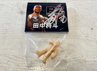 Masato Tanaka Figur Autogramm ZERO1 Pro Wrestling ECW Legende Nordrhein-Westfalen - Dorsten Vorschau