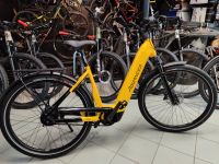 Advanced E-Bike das Original Trekking Pro X E-Bike Bosch CX, 750 Akku, 4 Jahre Garantie Bayern - Ebermannstadt Vorschau