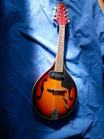 Mandoline mit Tonabnehmer Bluegrass Sachsen - Glashütte Vorschau