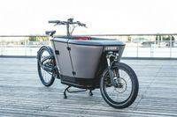 Carqon div. Modelle Lasten E-Bike Long John NEU Niedersachsen - Laatzen Vorschau