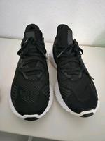 adidas continental Niedersachsen - Osnabrück Vorschau