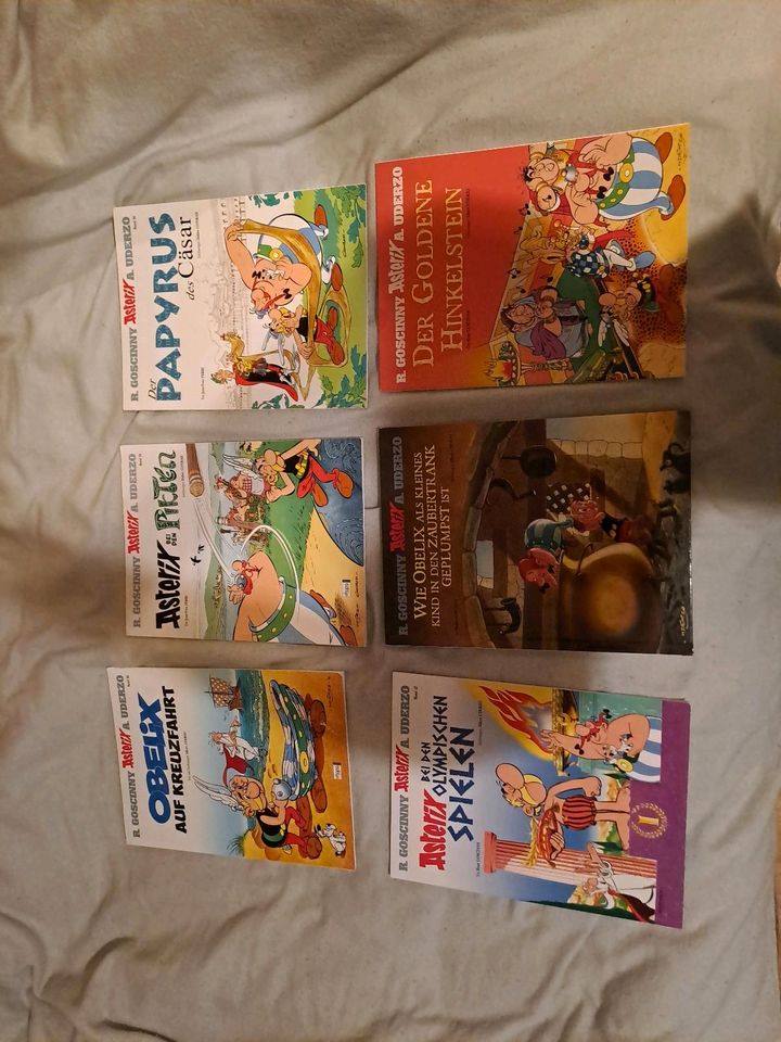 Asterix und Obelix Hefte in Bornhöved