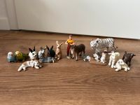 Verschiedene Schleich Figuren Nordrhein-Westfalen - Lippstadt Vorschau