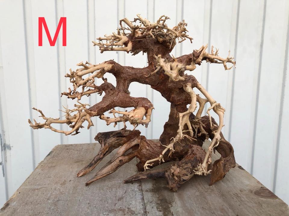 Scaping Bonsai Baum M-XL Aquarium Aquascaping Hardscape neu in Gladbeck