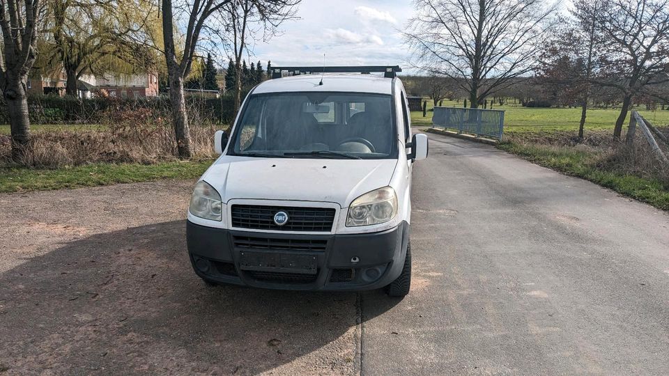 Fiat Doblo 223 Cargo 1.3 D Multijet in Zülpich