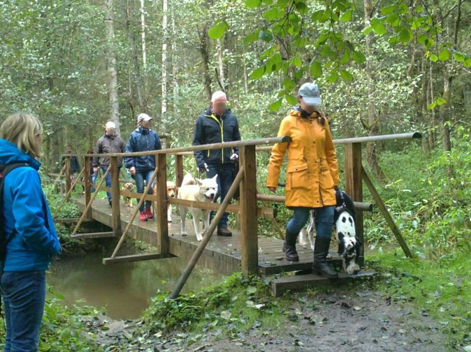 Sozialisierung, Hunde-Gewöhnung Gruppenkurs 2 Std in Haselbach b. Mitterfels