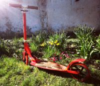 Hulk 200 Alu Scooter Klapproller Sachsen - Callenberg b Hohenstein-Ernstthal Vorschau