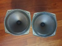 Vintage Rare 60's Philips Hohner orgaphone 2x12" speakers Bayern - Bad Reichenhall Vorschau