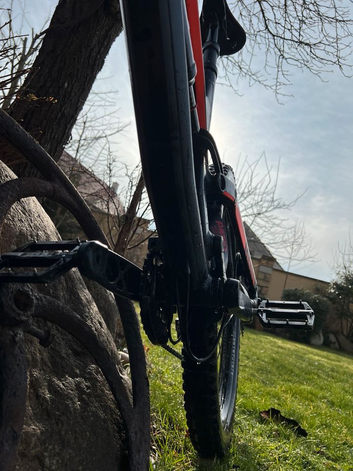 Canyon Torque Al 2019 L Fully MTB in Großenhain