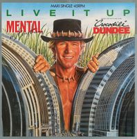LP Vinyl Maxi Mental as Everything "Live it up" Schallplatte Rheinland-Pfalz - Pirmasens Vorschau