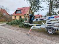 Baumfällungen Mecklenburg-Vorpommern - Feldberg Vorschau