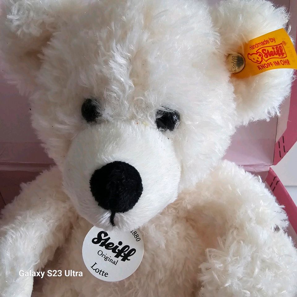 Steiff Teddybär Lotte im Koffer Neu in Lengerich