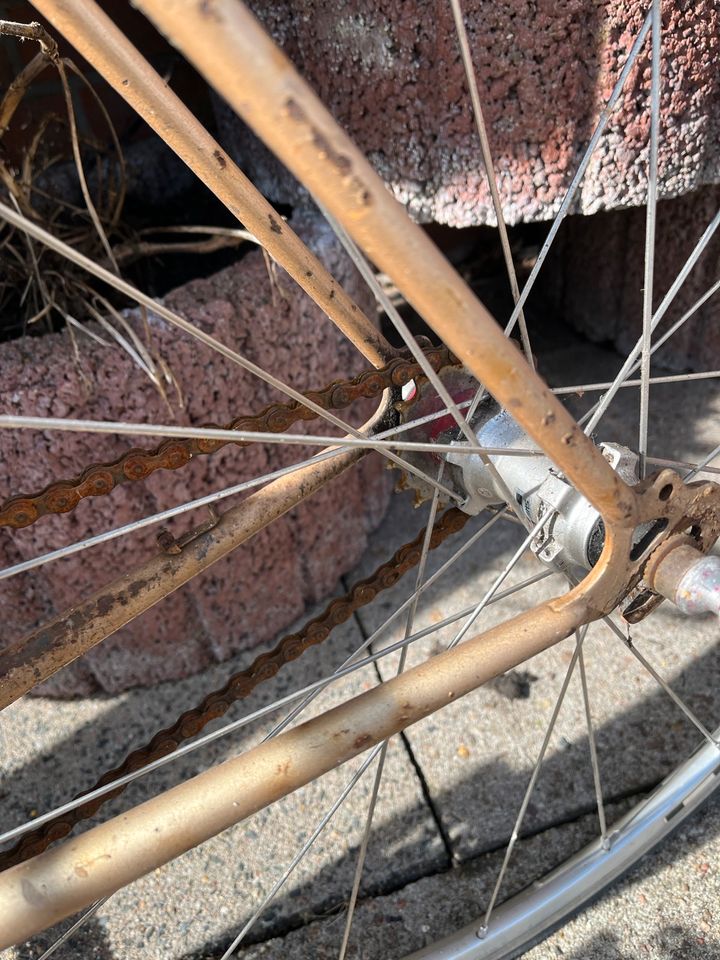 Vintage Renner Rennrad singlespeed Speichen Mono in Barsbüttel