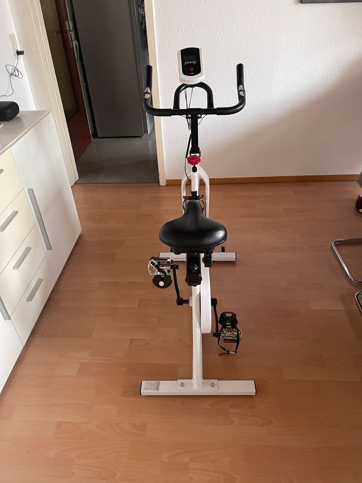 Spinningrad Schwinn Sport in Kirchheim am Neckar