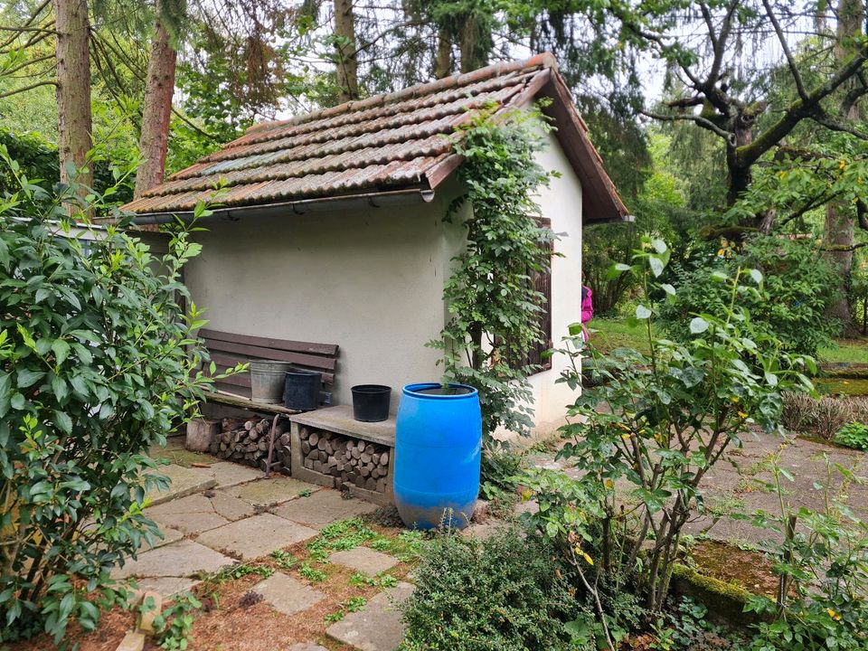 #10 Garten Hütte Obstbaum Camping Grillplatz Gartenhaus Freizeitgrundstück in Benningen