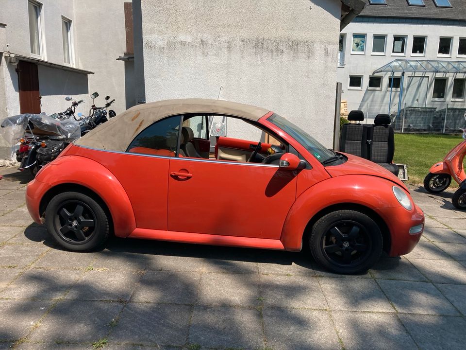 VW Beetle 1Y Alufelgen 205/55r16 91H in Bielefeld