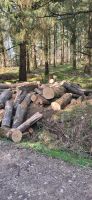 Brennholz frisch, 1 Meter Stücke Buche Bayern - Auhausen Vorschau