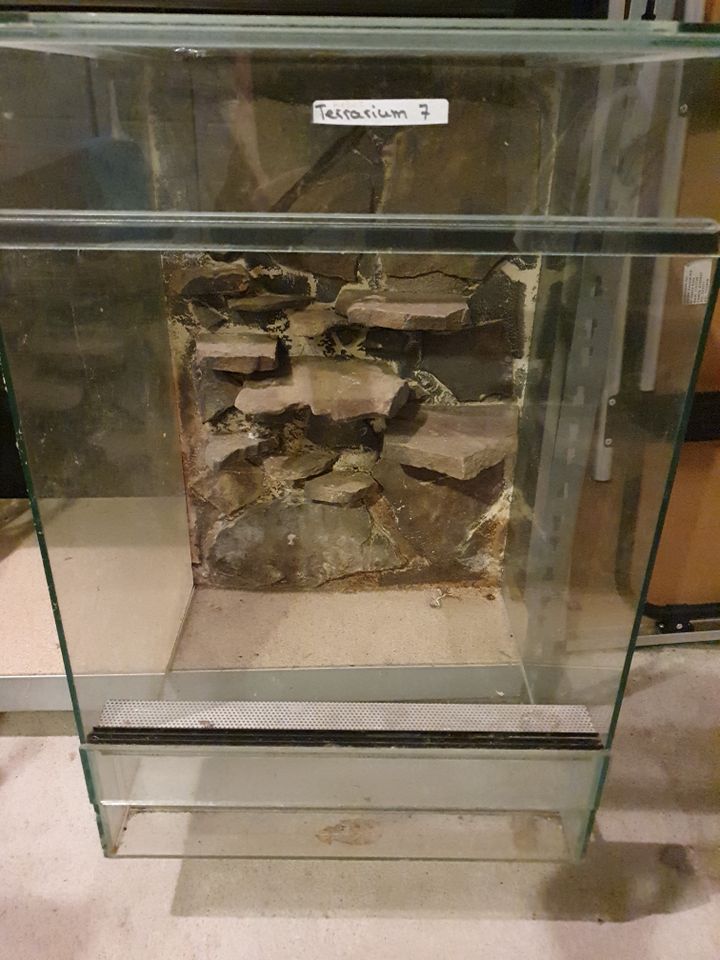 Hochterrarium 60x40x40 cm in Marl