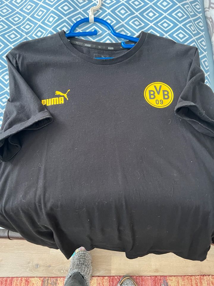 BVB Shirt schwarz Puma in Dortmund