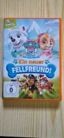 DVD Paw Patrol Ein neuer Fellfreund Bayern - Nandlstadt Vorschau