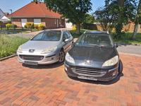 2x Peugeot 407  2,2 hdi /Bastlerfahrzeug Niedersachsen - Ostrhauderfehn Vorschau