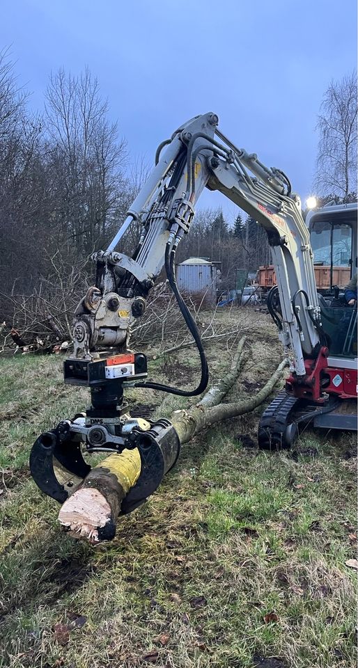 Knickpflege Knicken Fällgreifer Astschere Hecke kneifen in Alt Duvenstedt