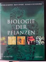 Biologie der Pflanze 3. Auflage | Raven, Evert, Eichhorn Niedersachsen - Bodenwerder Vorschau