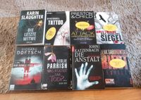 Thriller Krimi Horror Psychothriller Buch Bücher Roman Sachsen - Chemnitz Vorschau