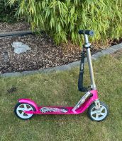 Roller/Scooter Hudora Big Wheel 250 pink Niedersachsen - Lehrte Vorschau