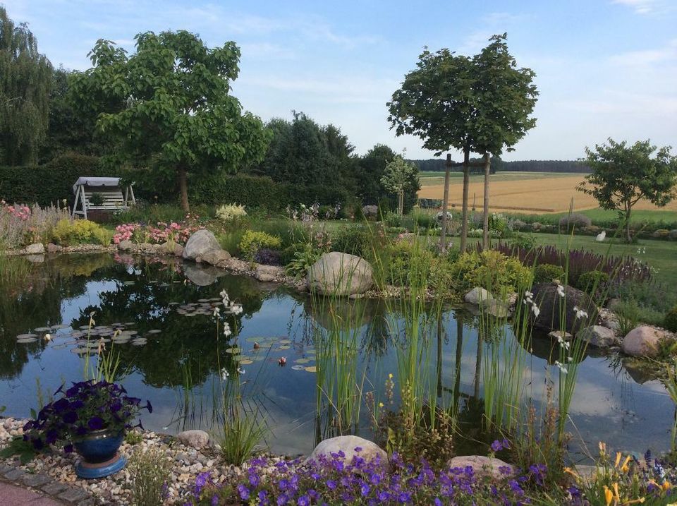 Teich, Gartenteich, Schwimmteich, Wasser im Garten, Bachläufe in Dahlenburg