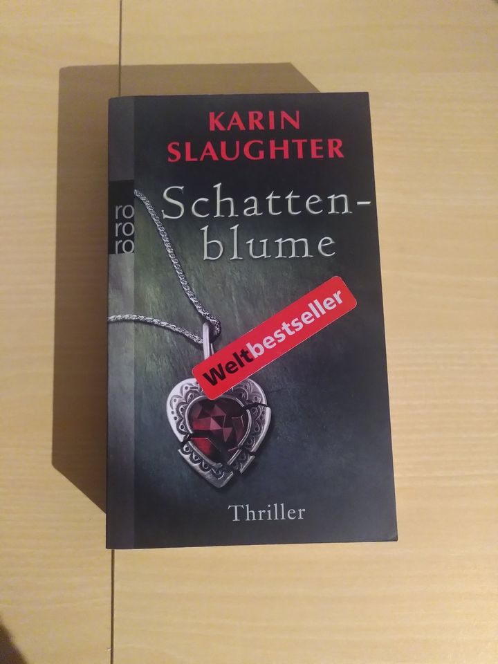 Thriller von Karin Slaughter in Dillingen (Donau)