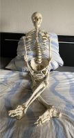 Skelett Anatomie Modell Lebensgroß ohne Standfuß !!! Nordrhein-Westfalen - Mönchengladbach Vorschau