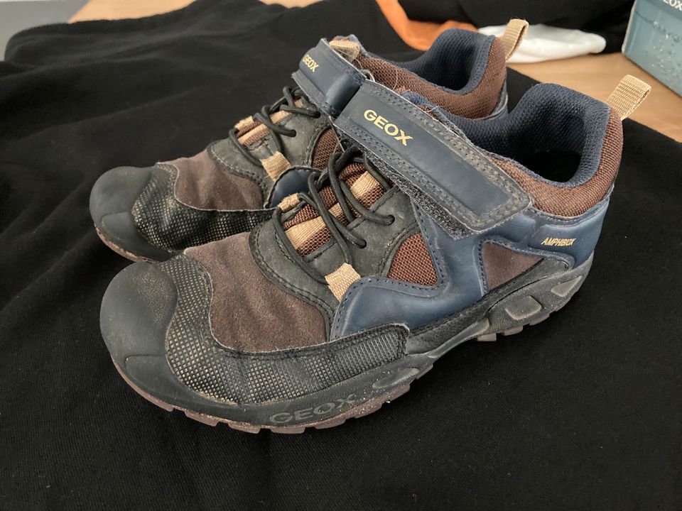 Geox Winterschuhe Schuhe Größe 34 in Kusel