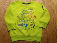 Pullover Kinder Pulli 98 grün Dinos Bayern - Münchsteinach Vorschau