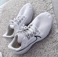 Nike Pegasus 38 Niedersachsen - Lohne (Oldenburg) Vorschau