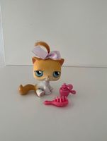 Littlest Pet Shop Katze #42 Spielfigur / Sammelfigur LPS Hessen - Hanau Vorschau